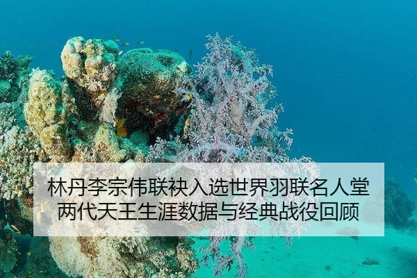 lin-dan-li-zong-wei-lian-mei-ru-xuan-shi-jie-yu-lian-ming-ren-tang-liang-dai-tian-wang-sheng-ya-shu-ju-yu-jing-dian-2-423.jpg